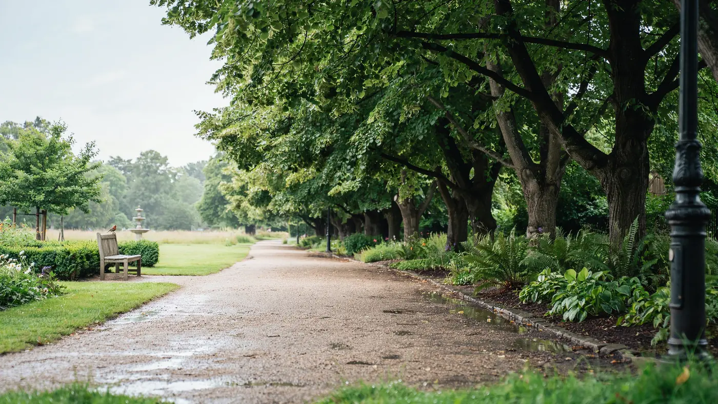 Chemin de parc apres la pluie, image de reconstruction