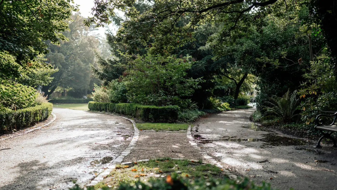 Deux chemins dans un parc, image de questionnement